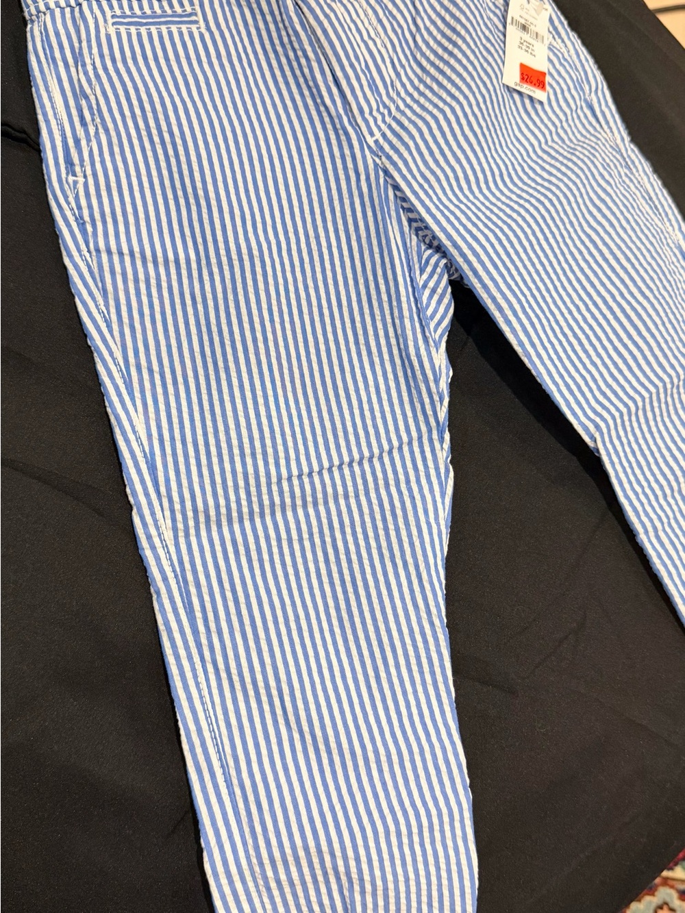 GAP Blue and Cream Striped Pants